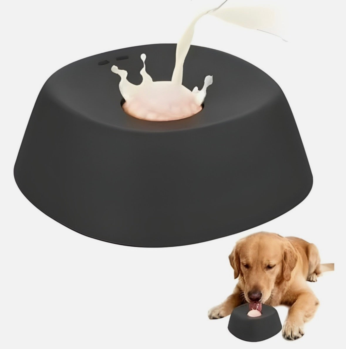 Anti-Choking Slow Feeder Dog Bowl