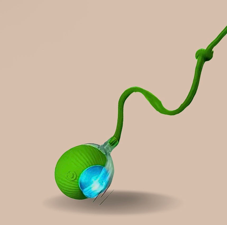 Intelligent Interactive Cat Ball
