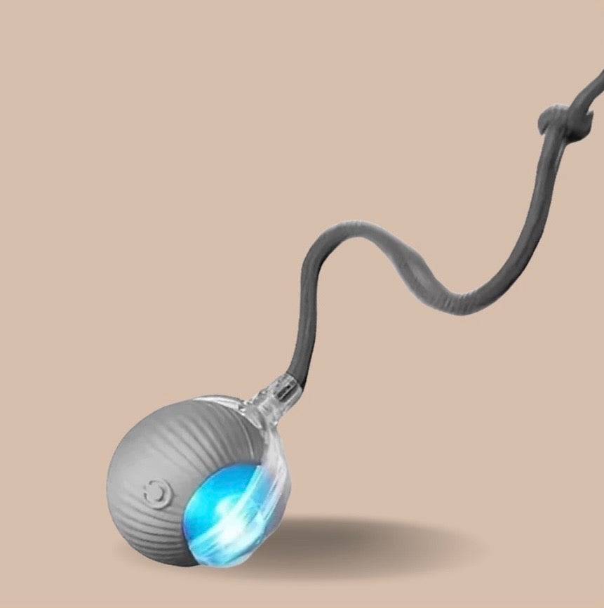 Intelligent Interactive Cat Ball