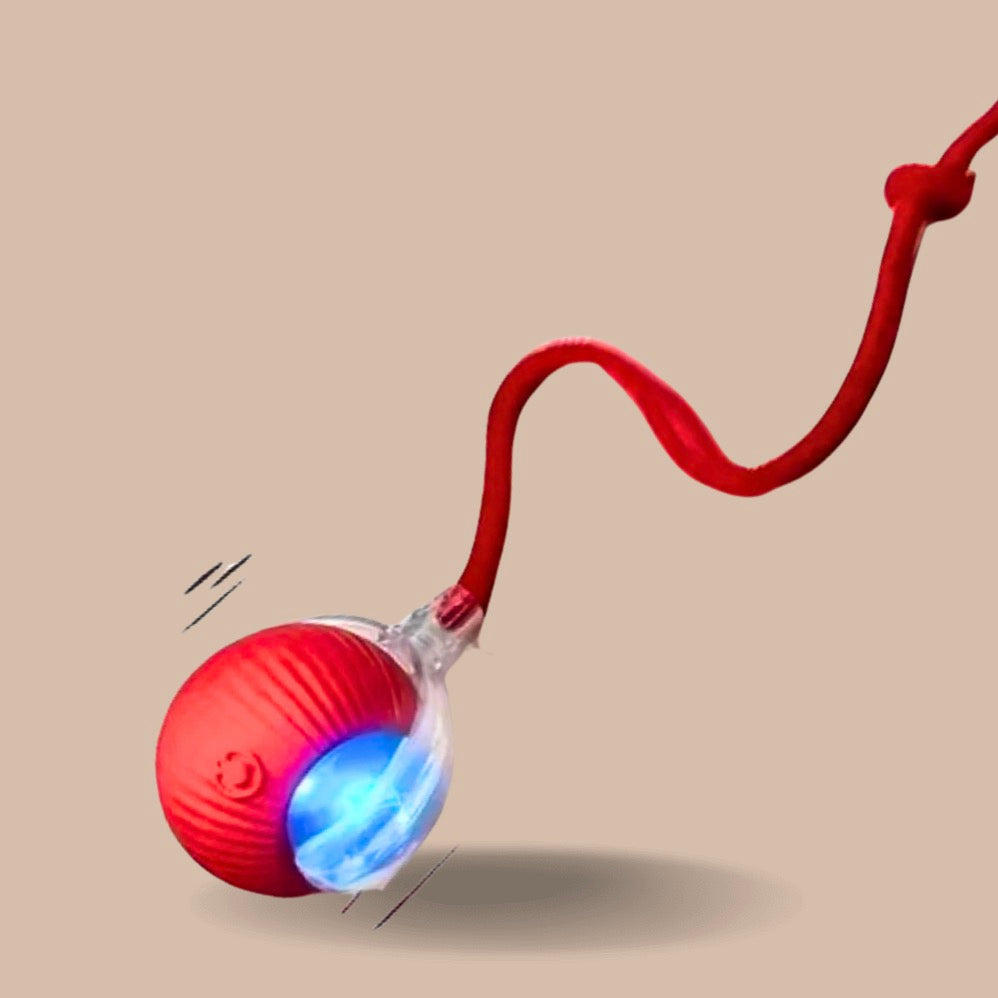 Intelligent Interactive Cat Ball